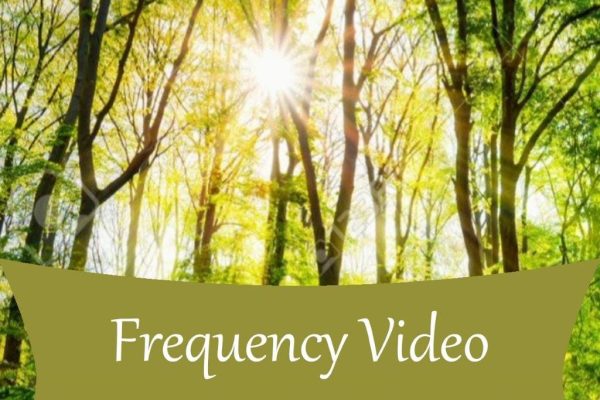 Frequency-Video.jpg